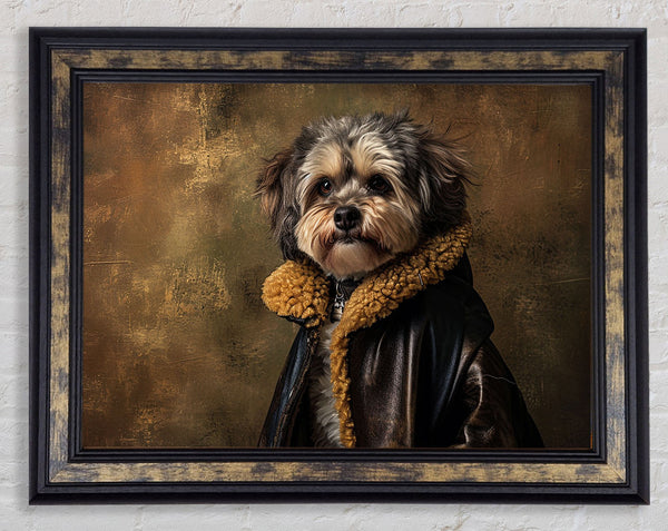 Fluffy Dog Coat Framed Print