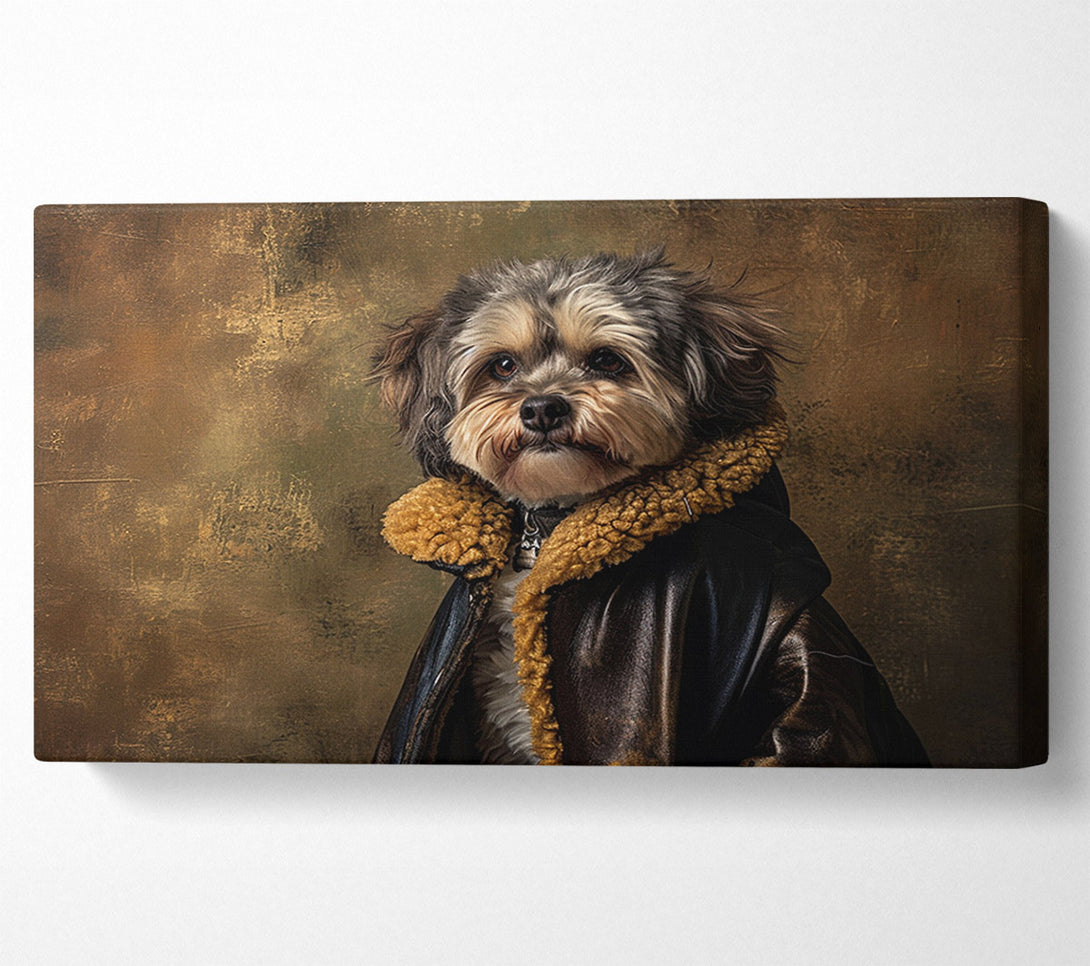  A Canvas Print of Fluffy Dog Coat Canvas Print