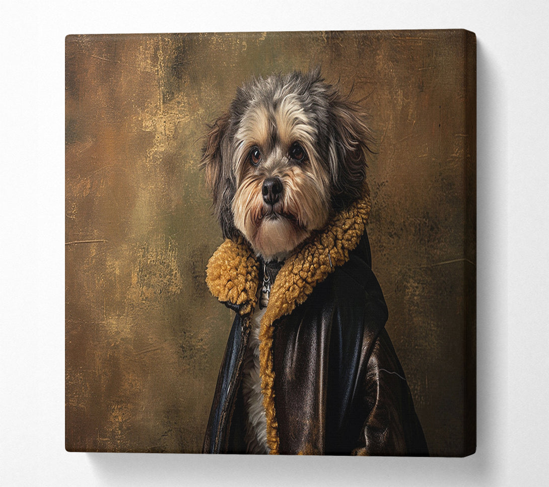  A Canvas Print of Fluffy Dog Coat Canvas Print