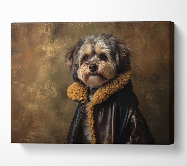  A Canvas Print of Fluffy Dog Coat Canvas Print