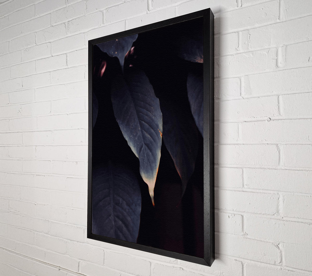  A Canvas Print of Indigo Leaf Embrace Canvas Art