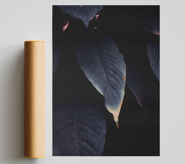 Indigo Leaf Embrace Print