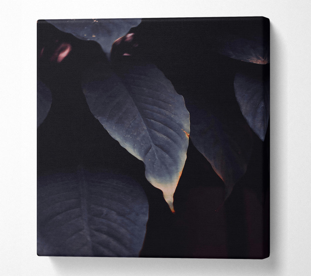  A Canvas Print of Indigo Leaf Embrace Canvas Art