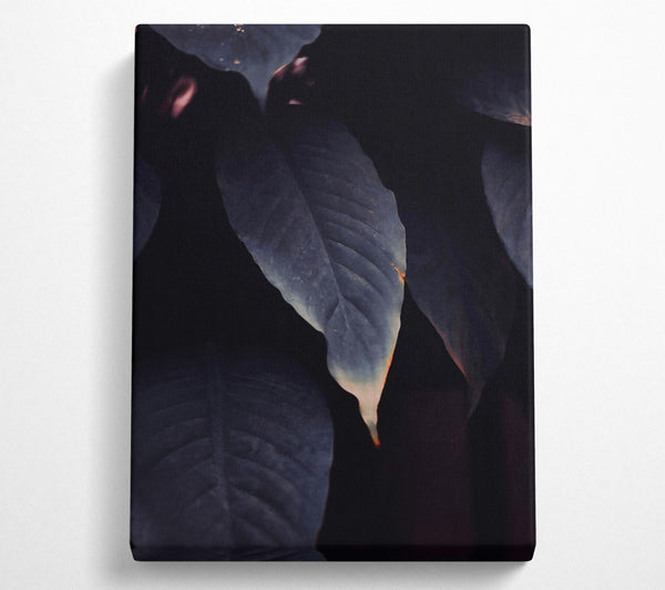  A Canvas Print of Indigo Leaf Embrace Canvas Art