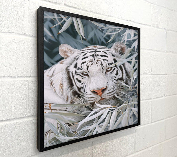 White Tiger'S Gaze
