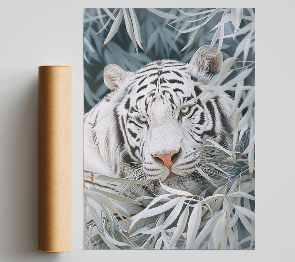 White Tiger'S Gaze Giclee Print