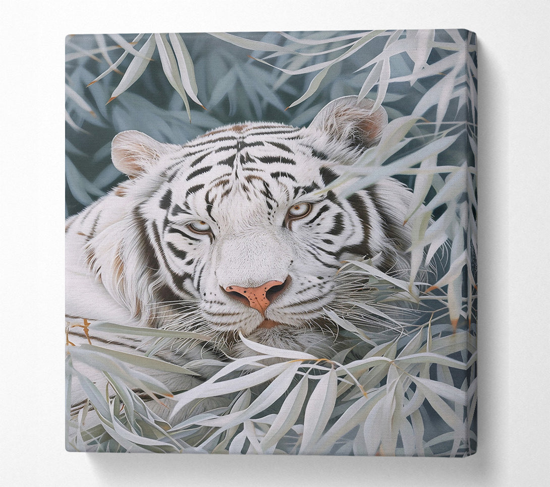  A Canvas Print of White Tiger'S Gaze Canvas Wall Art