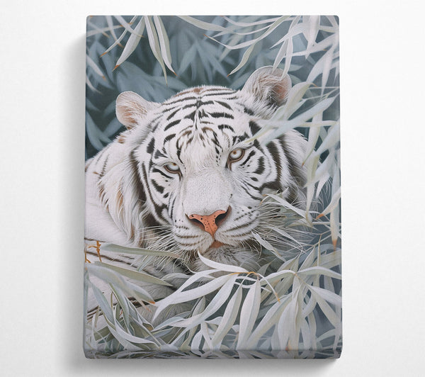  A Canvas Print of White Tiger'S Gaze Canvas Wall Art