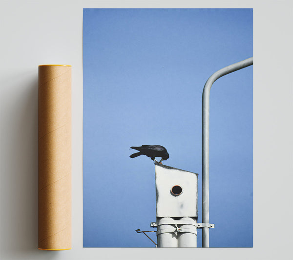 Blue Sky Crow Nest Print