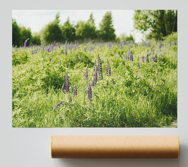 Purple Meadow Dreams Print