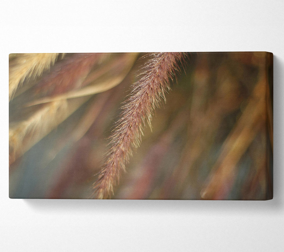  A Canvas Print of The Crimson Wisp Canvas Art
