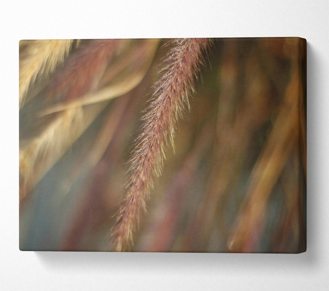  A Canvas Print of The Crimson Wisp Canvas Art