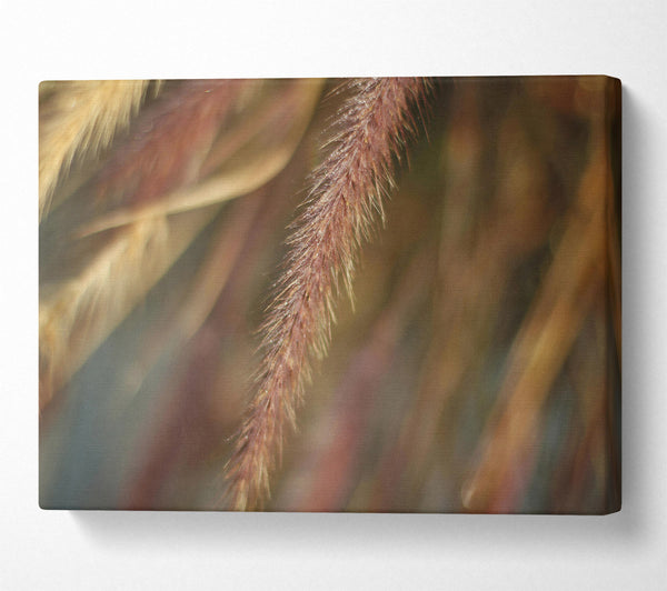  A Canvas Print of The Crimson Wisp Canvas Art
