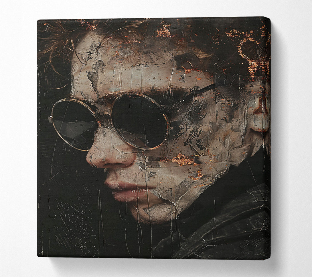  A Canvas Print of Copper And Shadow Glance Canvas Art