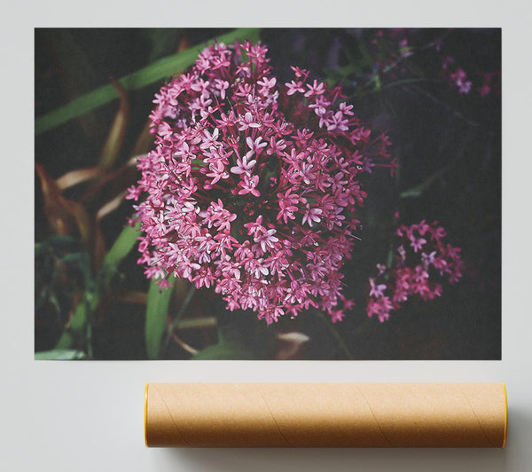 Crimson Flower Bloom Print