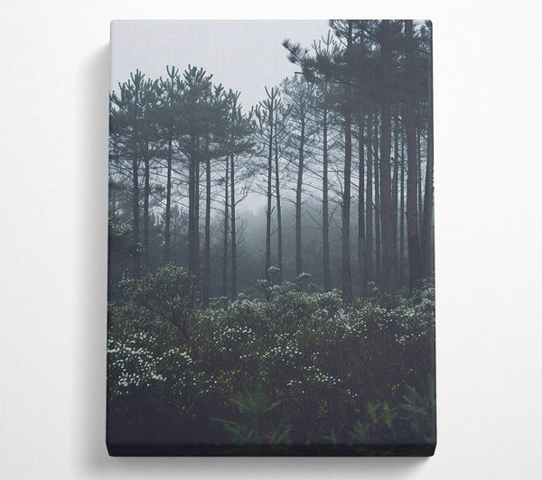  A Canvas Print of Forest Greys Canvas Wall Art
