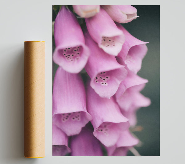 Pink Flower Cascade Print