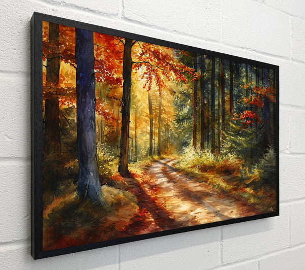 Forest Woodland Walk