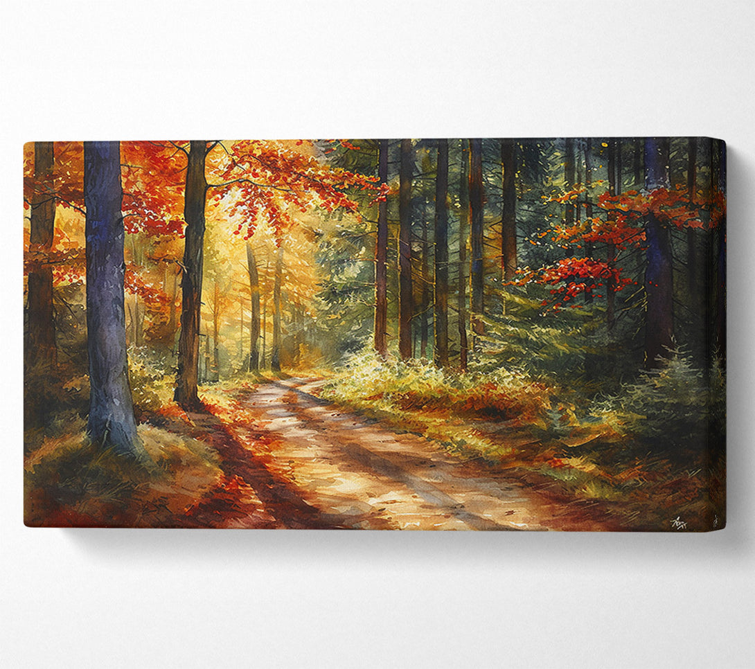  A Canvas Print of Forest Woodland Walk Canvas Art