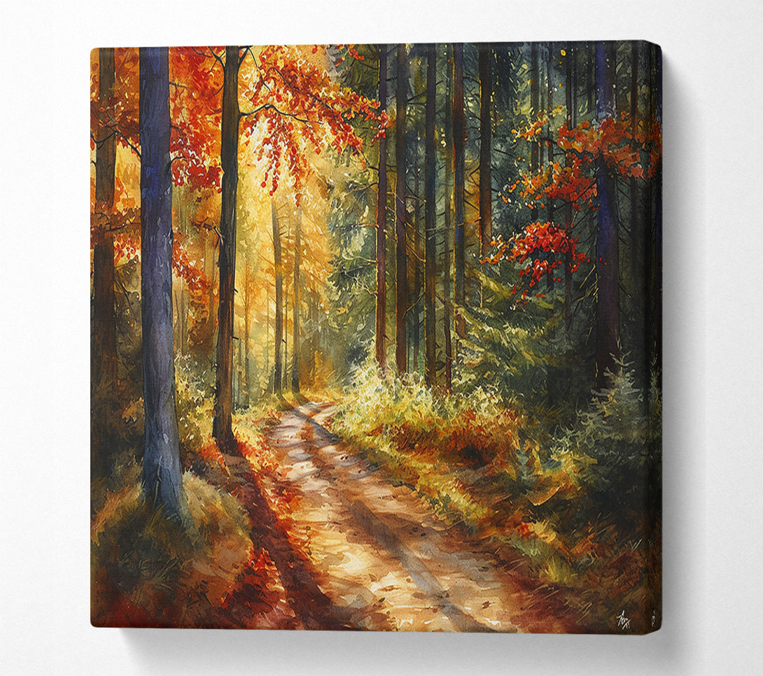  A Canvas Print of Forest Woodland Walk Canvas Art
