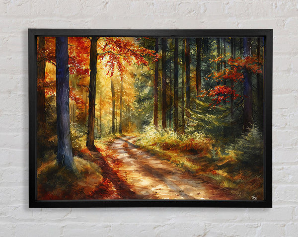 Forest Woodland Walk Framed Print