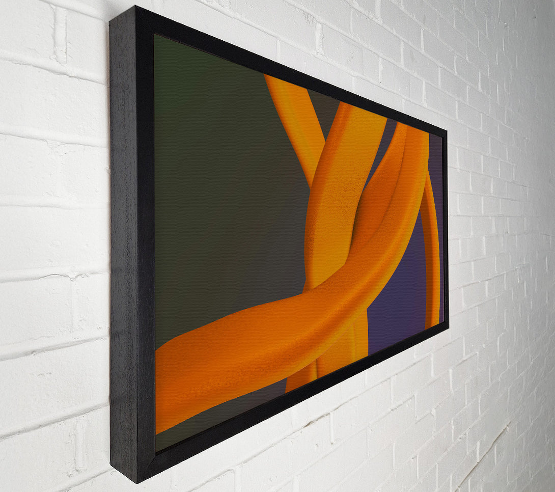  A Canvas Print of Amber Abstract Curves Canvas Print