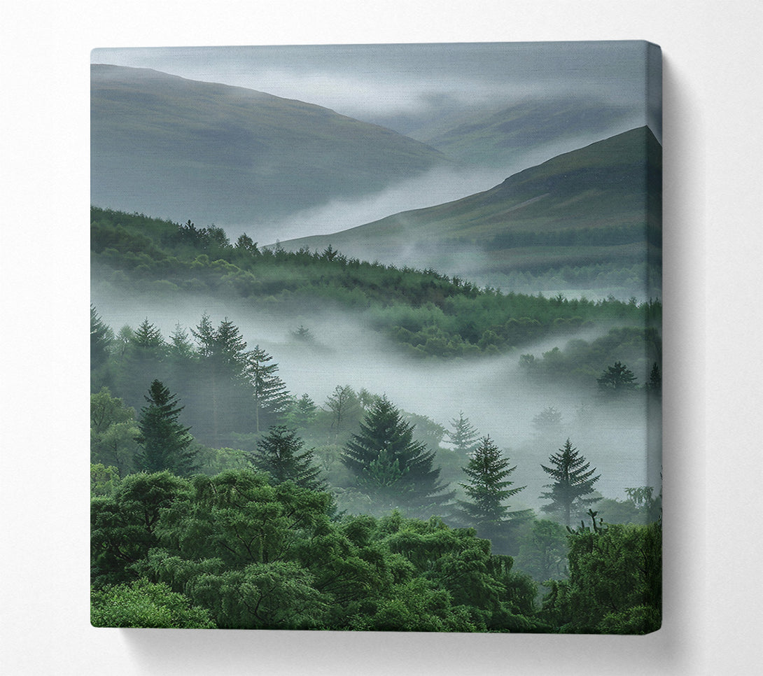  A Canvas Print of Emerald Foggy Valley Canvas Wall Art