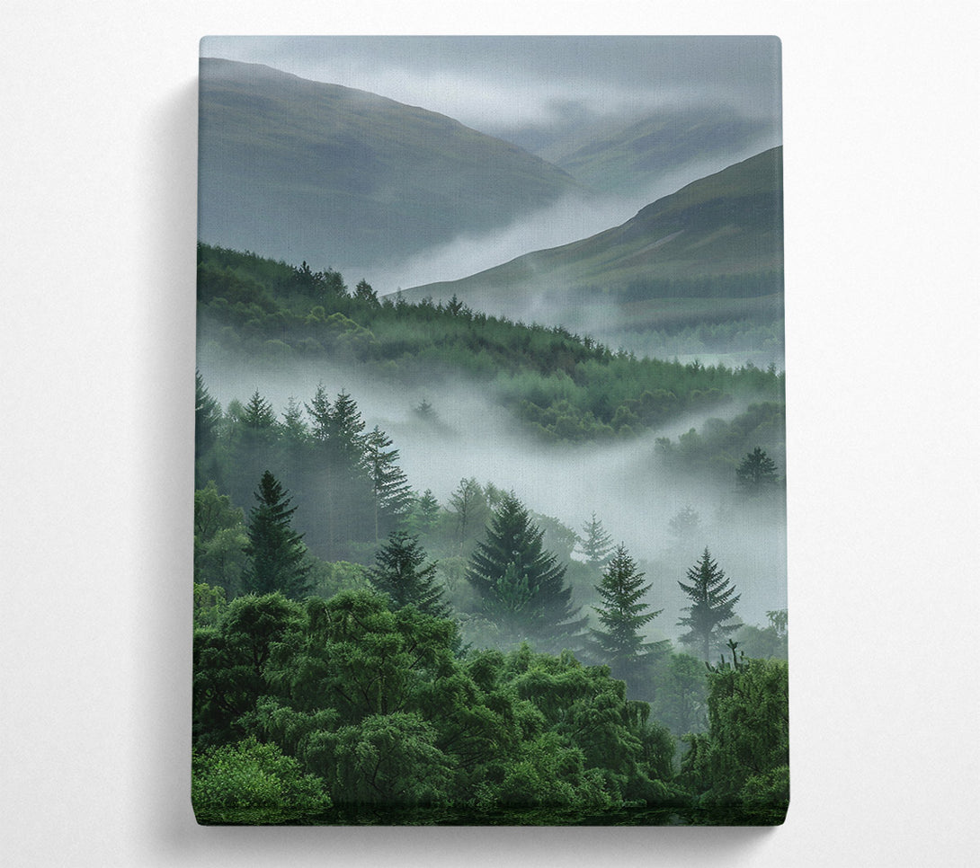  A Canvas Print of Emerald Foggy Valley Canvas Wall Art