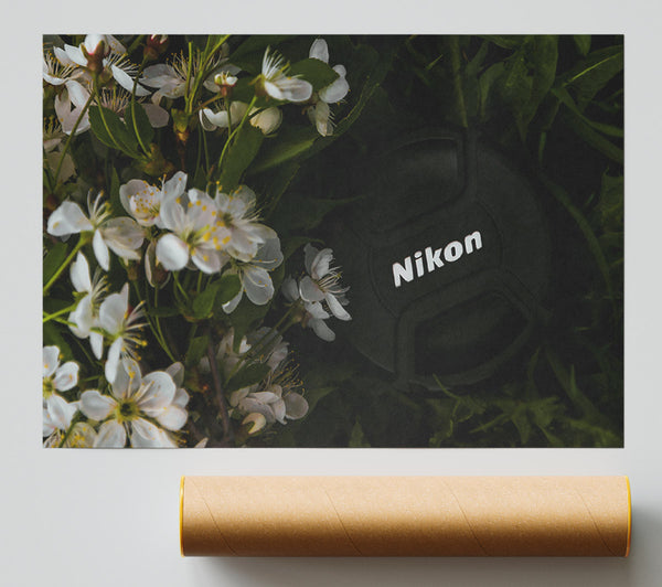 Black Lens In Blossoms Print