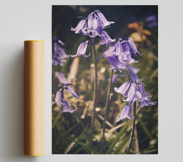 Purple Woodland Bells Print