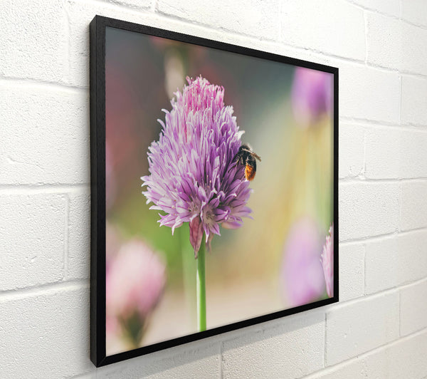Purple Bloom Buzzing Bee