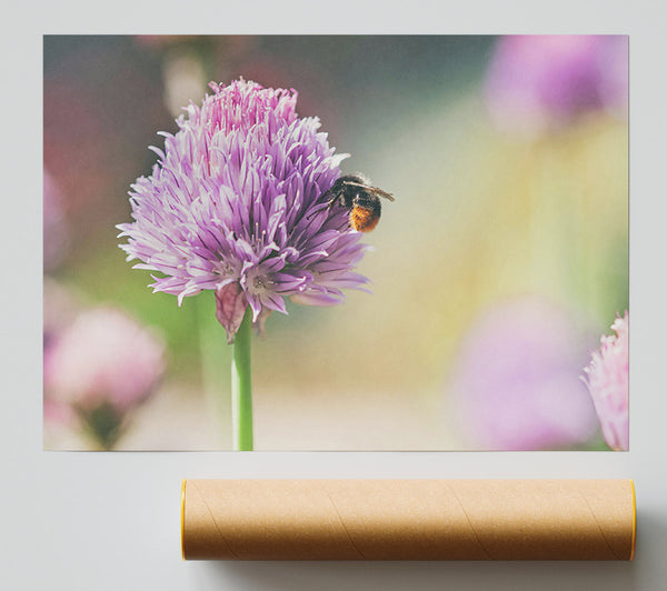 Purple Bloom Buzzing Bee Poster