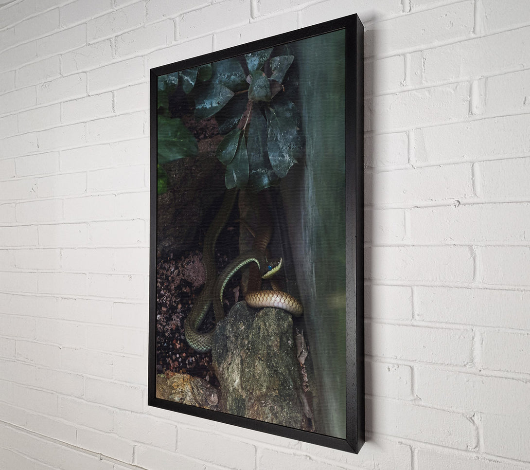  A Canvas Print of Emerald Serpent'S Gaze Canvas Art