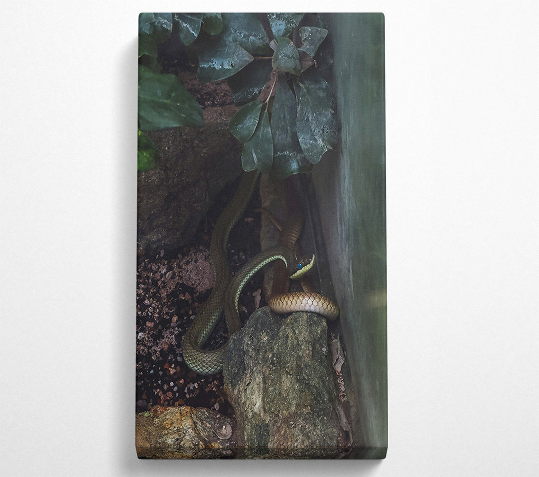  A Canvas Print of Emerald Serpent'S Gaze Canvas Art