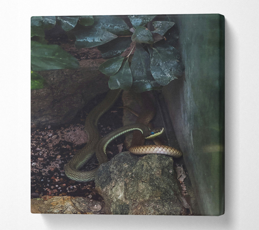  A Canvas Print of Emerald Serpent'S Gaze Canvas Art
