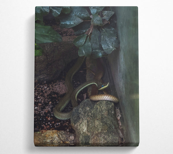  A Canvas Print of Emerald Serpent'S Gaze Canvas Art
