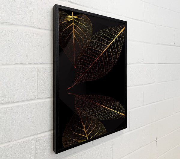 Four Orange And Yellow Leaves