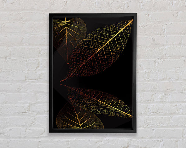 Four Orange And Yellow Leaves Framed Print