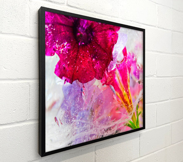 Frozen Magenta Bloom