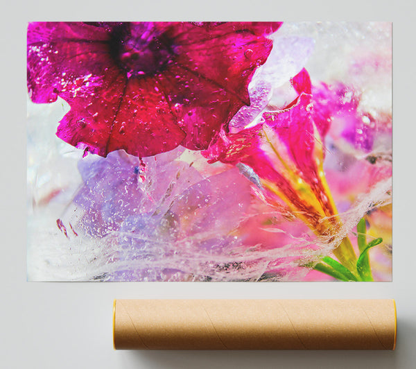 Frozen Magenta Bloom Poster