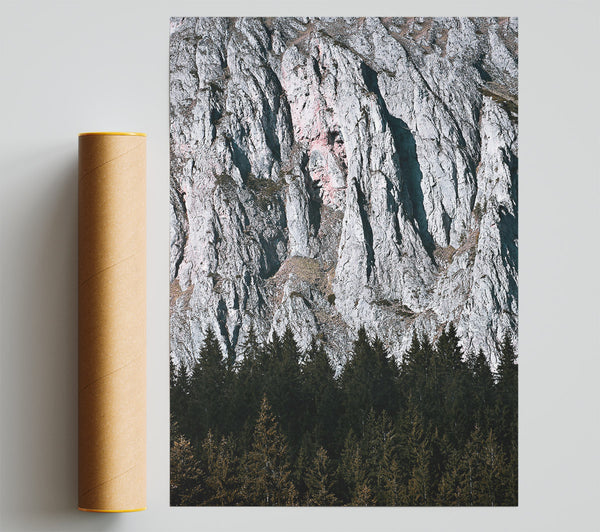 Pink Cliffs And Pines Print