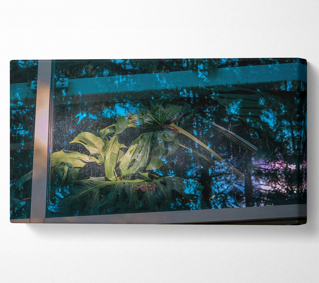  A Canvas Print of Teal Windowpane Jungle Canvas Art