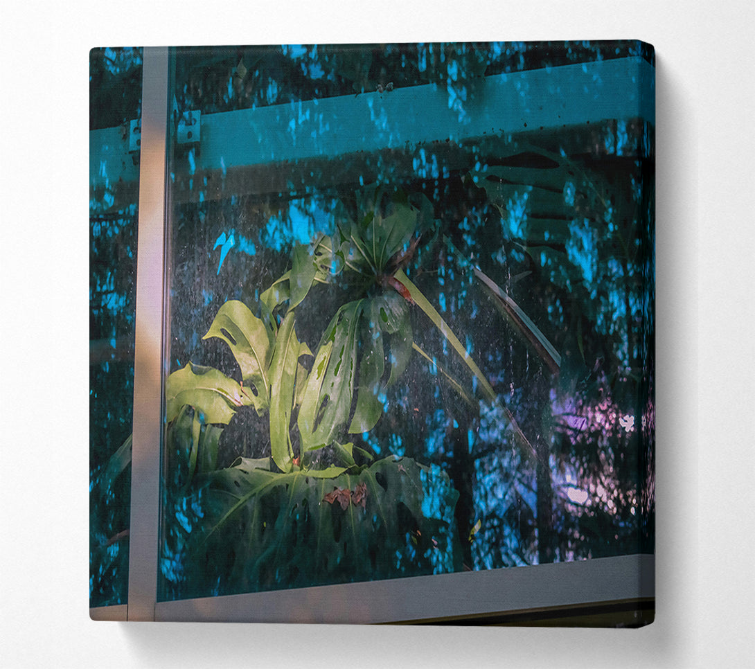 A Canvas Print of Teal Windowpane Jungle Canvas Art