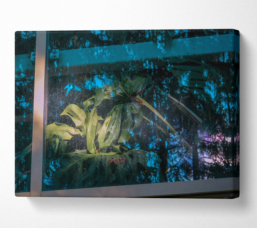  A Canvas Print of Teal Windowpane Jungle Canvas Art