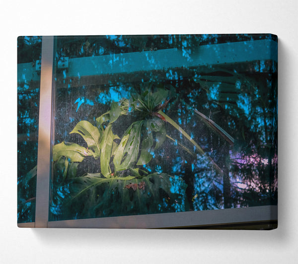  A Canvas Print of Teal Windowpane Jungle Canvas Art