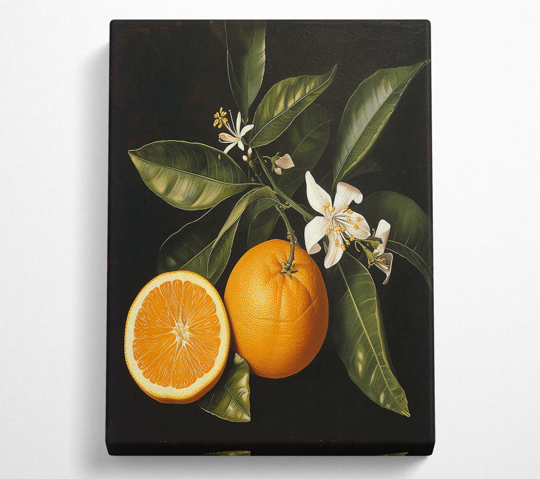  A Canvas Print of Orange Blossom Still Life Canvas Print