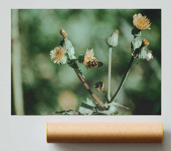 Green Bloom Buzzing Bee Print