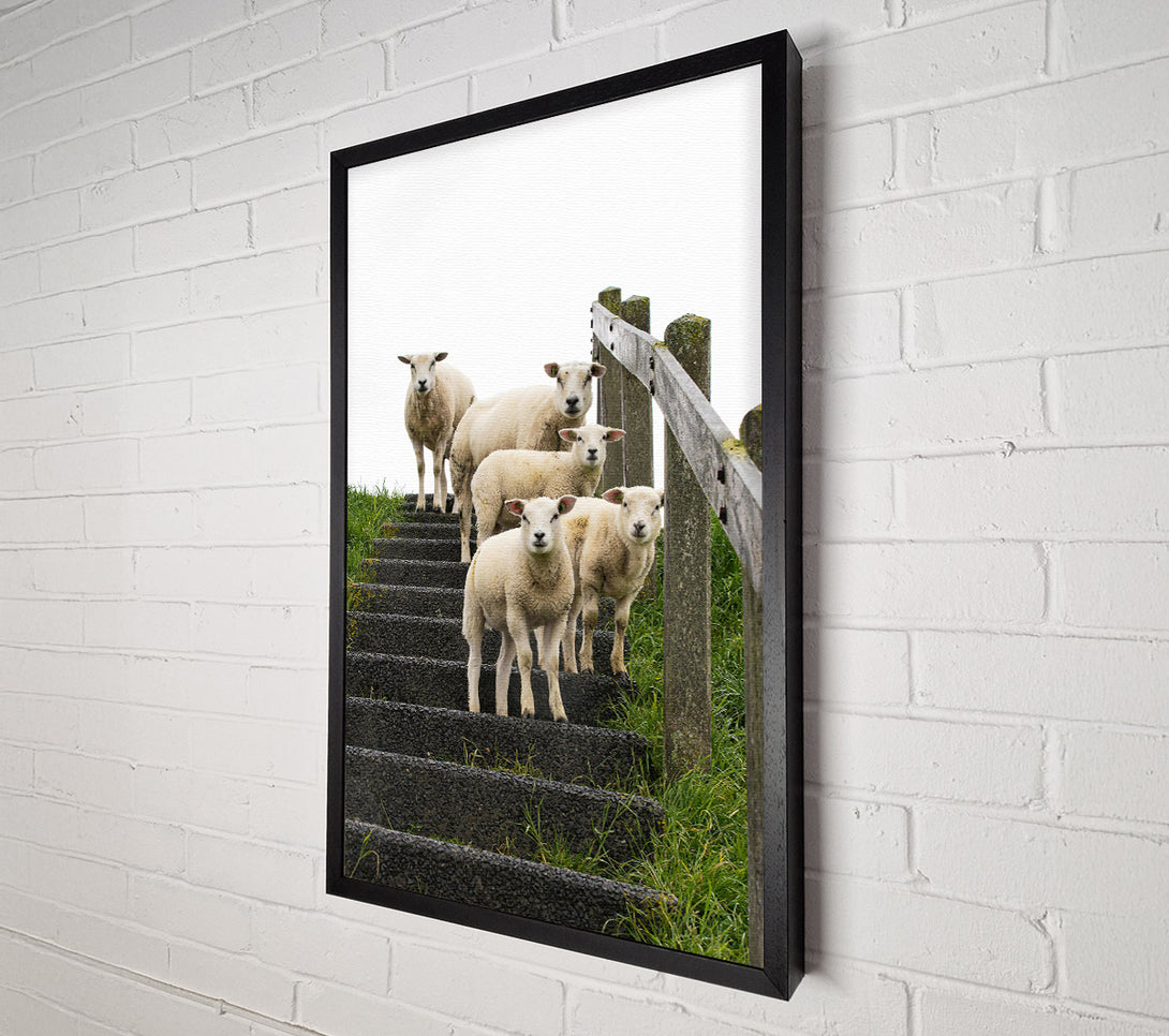  A Canvas Print of White Sheep On Black Stairs Canvas Print