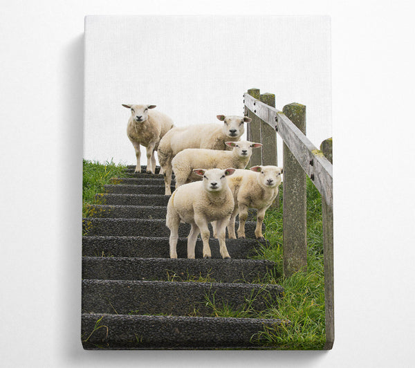  A Canvas Print of White Sheep On Black Stairs Canvas Print