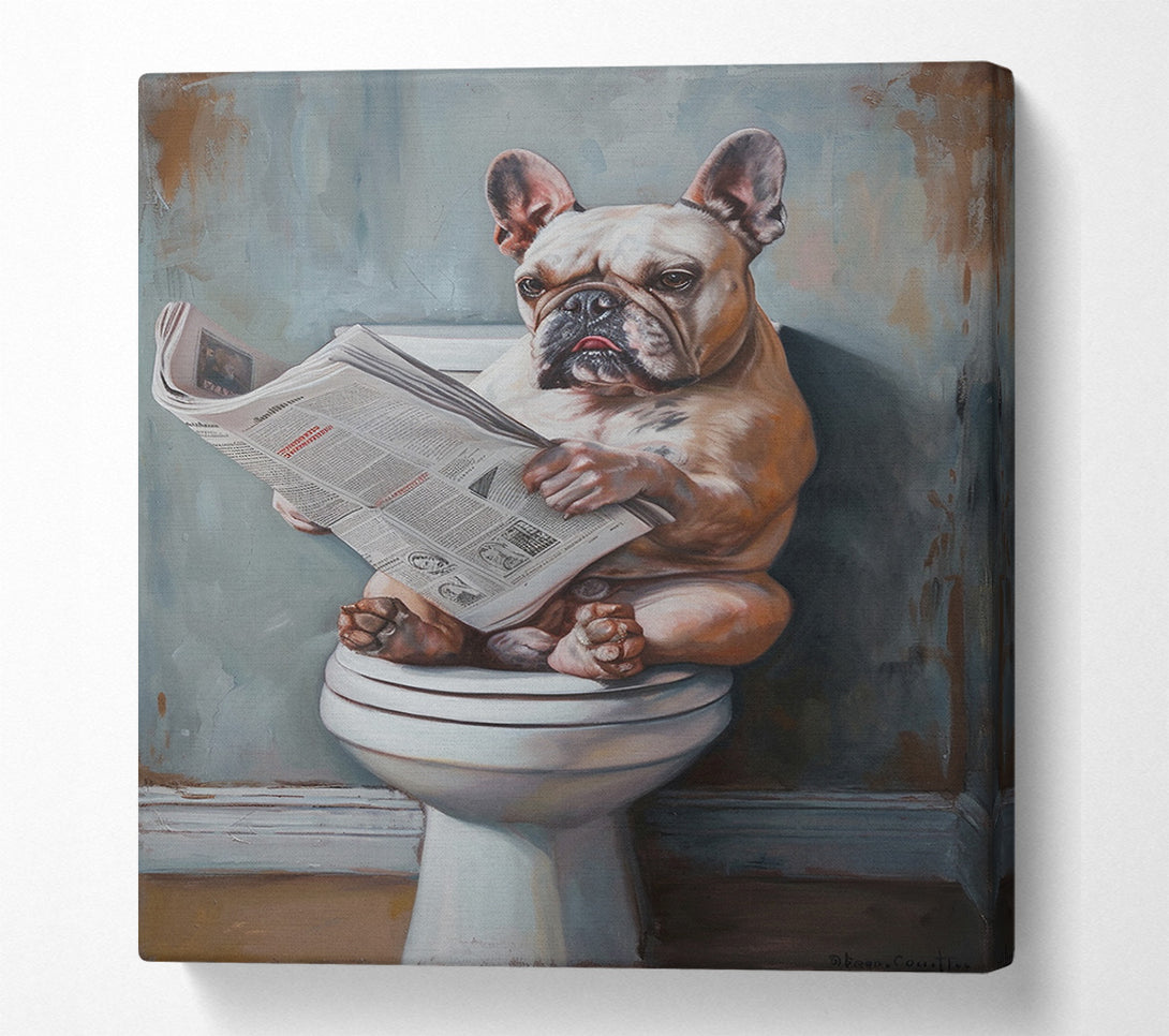  A Canvas Print of French Bulldog On The Toilet Canvas Print